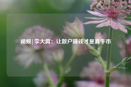 视频|李大霄：让散户赚钱才是真牛市