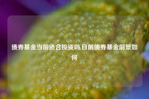 债券基金当前适合投资吗,目前债券基金前景如何