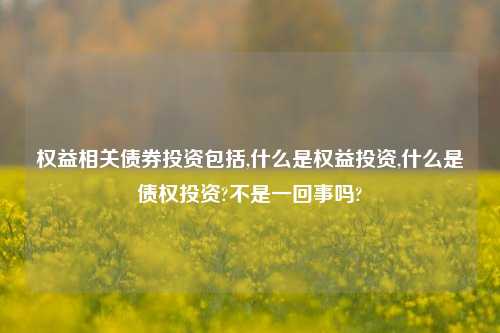 权益相关债券投资包括,什么是权益投资,什么是债权投资?不是一回事吗?