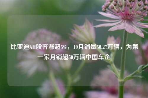 比亚迪AH股齐涨超5%，10月销量50.27万辆，为第一家月销超50万辆中国车企