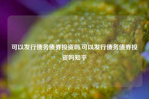 可以发行债务债券投资吗,可以发行债务债券投资吗知乎