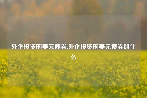 外企投资的美元债券,外企投资的美元债券叫什么