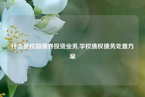 什么是校园债券投资业务,学校债权债务处置方案