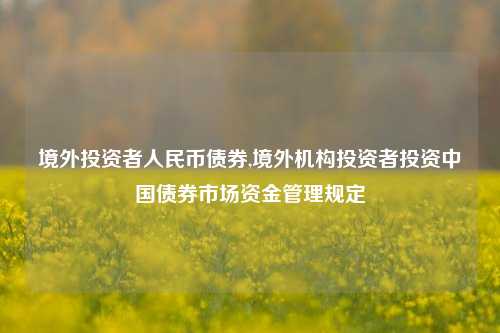 境外投资者人民币债券,境外机构投资者投资中国债券市场资金管理规定