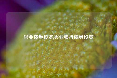 兴业债券投资,兴业银行债券投资