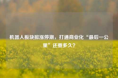 机器人板块掀涨停潮，打通商业化“最后一公里”还要多久？