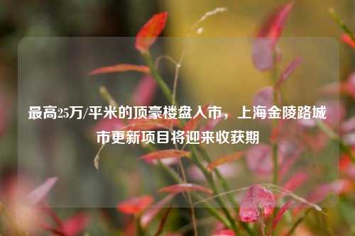 最高25万/平米的顶豪楼盘入市，上海金陵路城市更新项目将迎来收获期