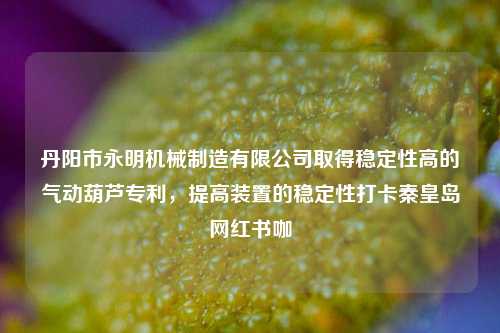 丹阳市永明机械制造有限公司取得稳定性高的气动葫芦专利，提高装置的稳定性打卡秦皇岛网红书咖