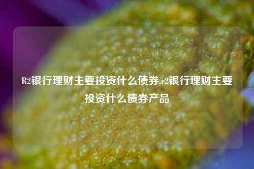 R2银行理财主要投资什么债券,r2银行理财主要投资什么债券产品