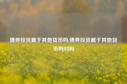 债券投资属于其他货币吗,债券投资属于其他货币吗对吗