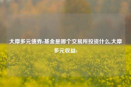 大摩多元债券c基金是哪个交易所投资什么,大摩多元收益c