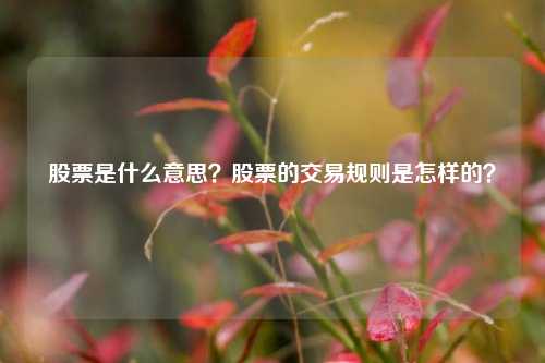 股票是什么意思？股票的交易规则是怎样的？