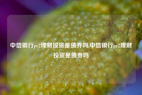 中信银行pr2理财投资是债券吗,中信银行pr2理财投资是债券吗