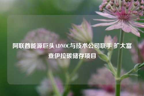 阿联酋能源巨头ADNOC与技术公司联手 扩大富查伊拉碳储存项目