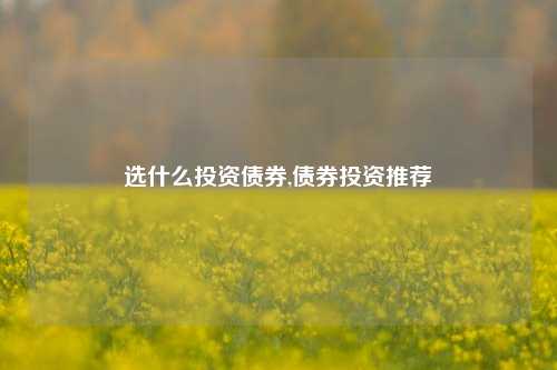 选什么投资债券,债券投资推荐