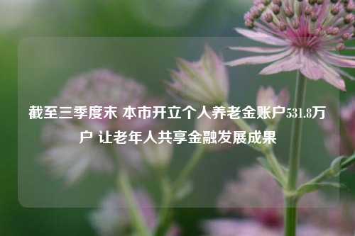 截至三季度末 本市开立个人养老金账户531.8万户 让老年人共享金融发展成果