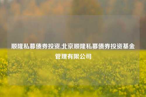 顺隆私募债券投资,北京顺隆私募债券投资基金管理有限公司