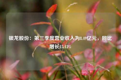 银龙股份：第三季度营业收入为8.49亿元，同比增长15.13%