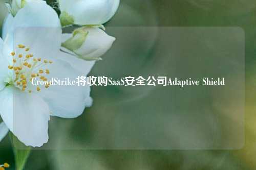 CrowdStrike将收购SaaS安全公司Adaptive Shield