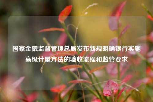 国家金融监督管理总局发布新规明确银行实施高级计量方法的验收流程和监管要求