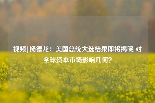 视频|杨德龙：美国总统大选结果即将揭晓 对全球资本市场影响几何？