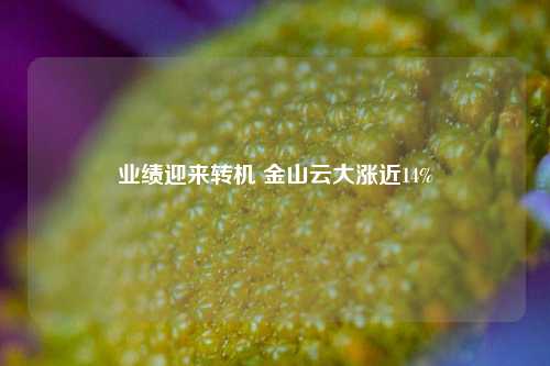 业绩迎来转机 金山云大涨近14%