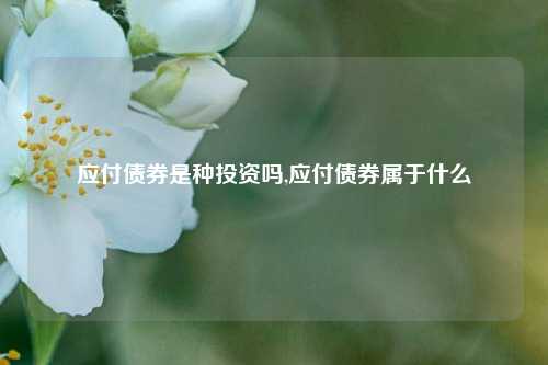 应付债券是种投资吗,应付债券属于什么