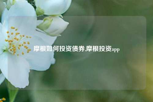 摩根如何投资债券,摩根投资app