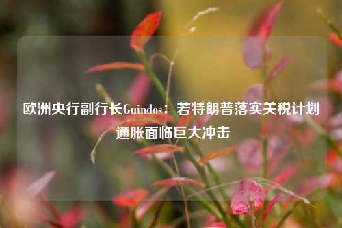 欧洲央行副行长Guindos：若特朗普落实关税计划 通胀面临巨大冲击