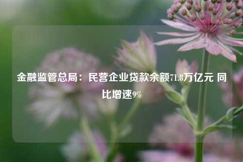 金融监管总局：民营企业贷款余额71.8万亿元 同比增速9%