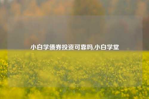 小白学债券投资可靠吗,小白学堂