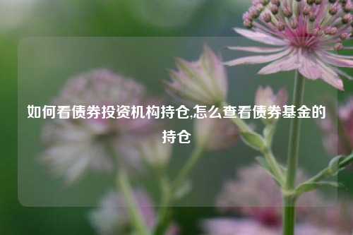 如何看债券投资机构持仓,怎么查看债券基金的持仓