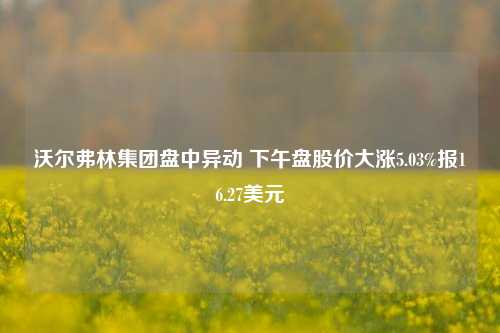 沃尔弗林集团盘中异动 下午盘股价大涨5.03%报16.27美元