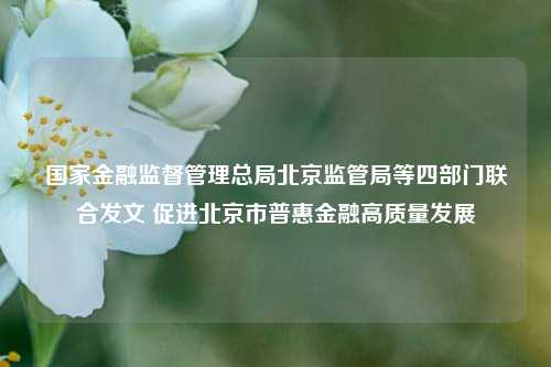 国家金融监督管理总局北京监管局等四部门联合发文 促进北京市普惠金融高质量发展