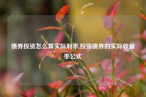 债券投资怎么算实际利率,投资债券的实际收益率公式