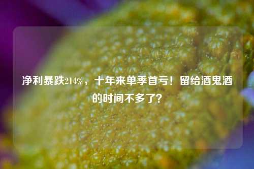 净利暴跌214%，十年来单季首亏！留给酒鬼酒的时间不多了？