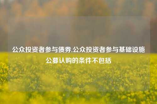 公众投资者参与债券,公众投资者参与基础设施公募认购的条件不包括