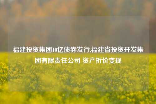 福建投资集团10亿债券发行,福建省投资开发集团有限责任公司 资产折价变现