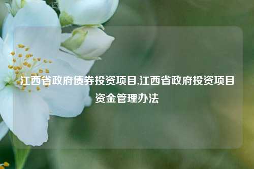 江西省政府债券投资项目,江西省政府投资项目资金管理办法