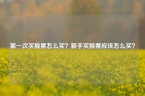 第一次买股票怎么买？新手买股票应该怎么买？