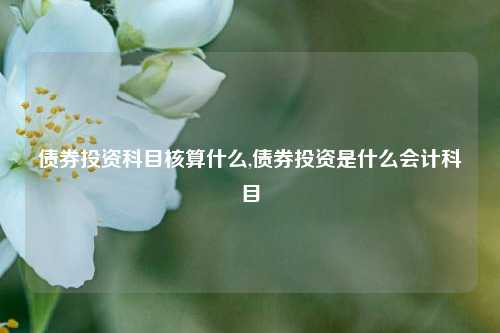 债券投资科目核算什么,债券投资是什么会计科目