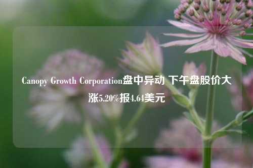 Canopy Growth Corporation盘中异动 下午盘股价大涨5.20%报4.64美元