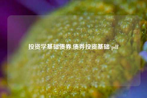 投资学基础债券,债券投资基础 pdf