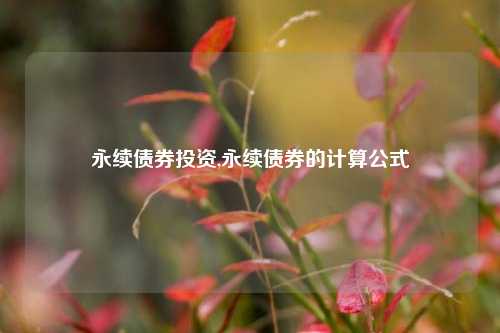 永续债券投资,永续债券的计算公式