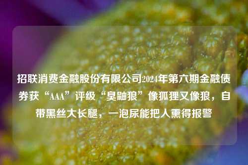 招联消费金融股份有限公司2024年第六期金融债券获“AAA”评级“臭鼬狼”像狐狸又像狼，自带黑丝大长腿，一泡尿能把人熏得报警