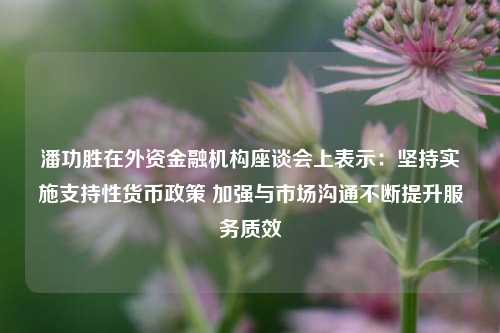 潘功胜在外资金融机构座谈会上表示：坚持实施支持性货币政策 加强与市场沟通不断提升服务质效