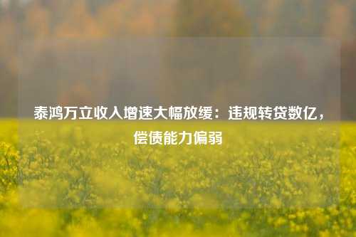 泰鸿万立收入增速大幅放缓：违规转贷数亿，偿债能力偏弱