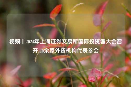 视频丨2024年上海证券交易所国际投资者大会召开 20余家外资机构代表参会