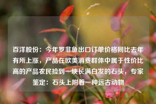 百洋股份：今年罗非鱼出口订单价格同比去年有所上涨，产品在欧美消费群体中属于性价比高的产品农民捡到一块长满白发的石头，专家鉴定：石头上附着一种远古动物