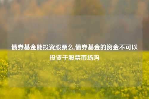 债券基金能投资股票么,债券基金的资金不可以投资于股票市场吗